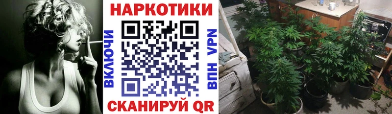 Купить наркотик аптеки Малгобек ГЕРОИН  Вейп ТГК  СОЛЬ  Меф  ГАШИШ  Псилоцибиновые грибы  Канабис 