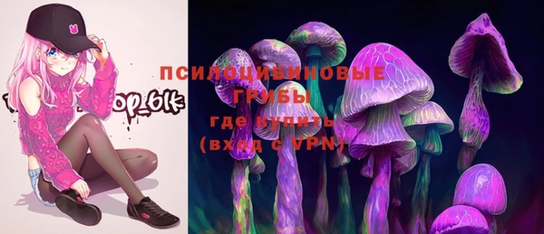 спиды Арсеньев